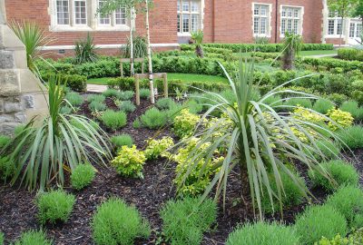 Shrubs planted in commercial landscape