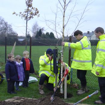 Community tree planting