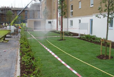 House building landscaping