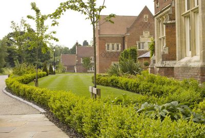 Lawn surrounded by shrubs by hospital