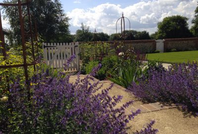 Shrubs planted either side of garden path