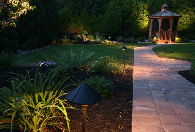 Path being lit by garden lights