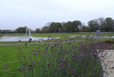 Park landscape with pong, lawn and shrubs
