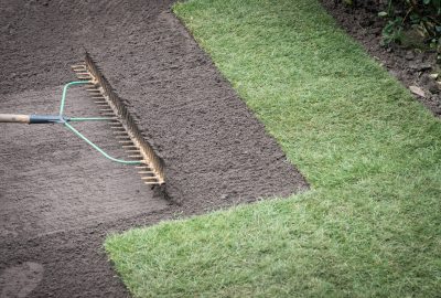 Lawn being raked