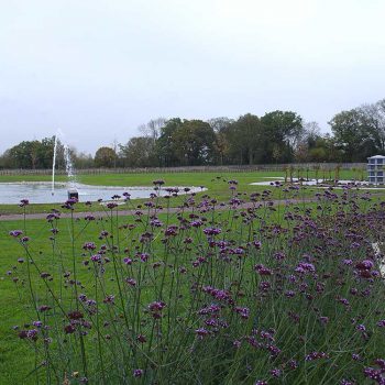 Crematorium Brentwood landscape with lake and lawn