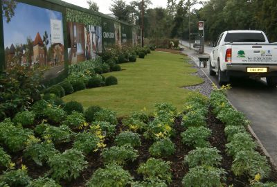 Artificial turf installed alongside road