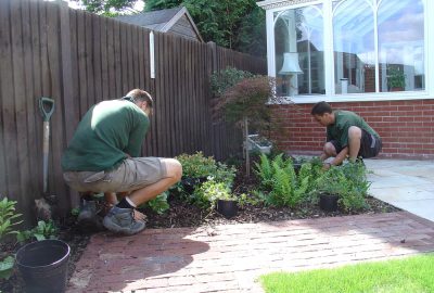 Soft landscaping shrubs being installed