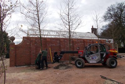Medium sized tree being installed